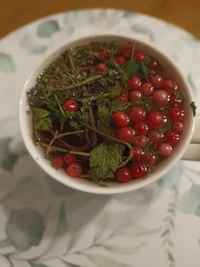 IMG_20241127_180407.webp IMG_20241127_180407.webp