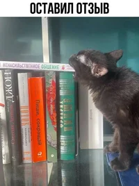 Screenshot_2024-12-04-15-06-35-43_68e74cc0265513bba3f4cf8e2c9891fe.webp Screenshot_2024-12-04-15-06-35-43_68e74cc0265513bba3f4cf8e2c9891fe.webp