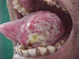 17_chto-poyavilos-ranshe-sig.webp 17_chto-poyavilos-ranshe-sig.webp