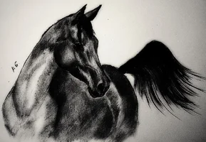 1675622278_gas-kvas-com-p-risunki-zhivotnikh-sousom-49.webp 1675622278_gas-kvas-com-p-risunki-zhivotnikh-sousom-49.webp