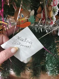 IMG20241216225828.webp IMG20241216225828.webp