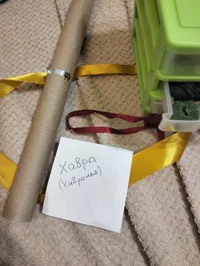 IMG20241216232225.jpg IMG20241216232225.jpg