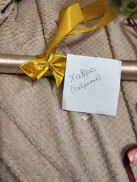 IMG20241216233847.jpg IMG20241216233847.jpg