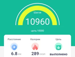 Screenshot_20241216_212314_FitPro.webp