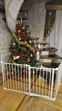 20241218_215440.jpg 20241218_215440.jpg