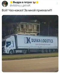 Screenshot_2024-12-20-18-15-03-51_1c337646f29875672b5a61192b9010f9.webp