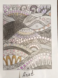Anat.webp