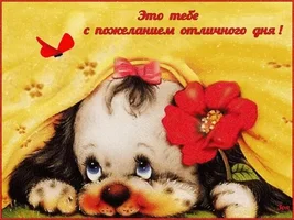 i (83).webp i (83).webp