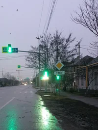 20241224_071817.webp