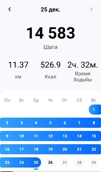 IMG_20241226_003646.webp