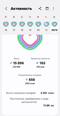 Screenshot_20241225_223434_Samsung Health.webp