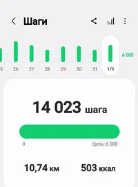 Screenshot_20250101-175935_Samsung Health.webp