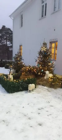 Изображение WhatsApp 2025-01-07 в 11.22.54_5f83ebc9.webp