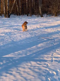 WhatsApp Image 2022-03-11 at 19.14.43.webp