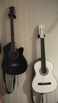 IMG_20250115_165015.webp IMG_20250115_165015.webp