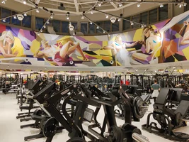 IMG_20231208_204653.webp IMG_20231208_204653.webp