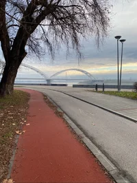 IMG_6794.jpeg IMG_6794.jpeg