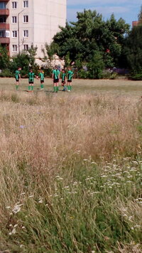 IMG_20160709_100841.jpg IMG_20160709_100841.jpg