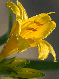 382760147.gif 382760147.gif