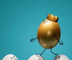 IMG_1354.webp IMG_1354.webp