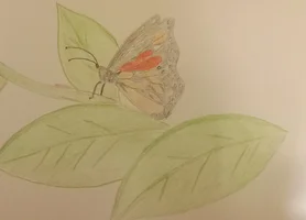 Селена 13.webp