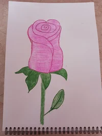 Николаевна 87.webp