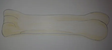 Мада Жале 1.webp