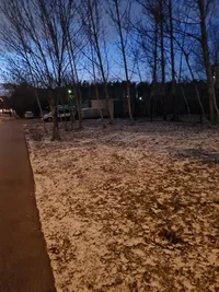 20250204_175737.webp 20250204_175737.webp