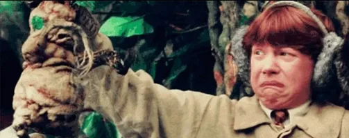 1000002056.jpg 1000002056.jpg