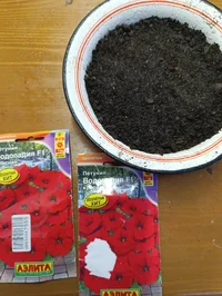 IMG_20250215_171609.webp IMG_20250215_171609.webp