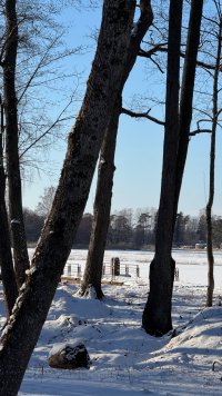 IMG_2181.jpeg