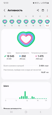 Screenshot_20250217_120342_Samsung Health.webp