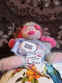 солф.webp солф.webp