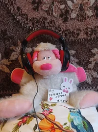 уши.webp уши.webp