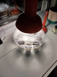 1000002333.webp 1000002333.webp