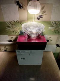 1000002332.webp 1000002332.webp