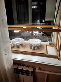 1000002366.jpg 1000002366.jpg