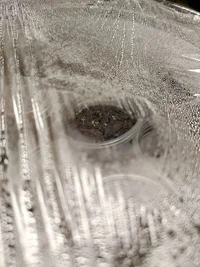 1000002367.jpg 1000002367.jpg