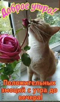 i - 2025-02-20T074555.445.jpeg