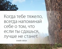 IMG_20240202_071324.webp IMG_20240202_071324.webp