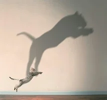 IMG_20231109_194307.webp IMG_20231109_194307.webp