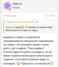 Screenshot_20250219-093357.jpg Screenshot_20250219-093357.jpg