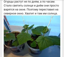 Screenshot_20250222-091704.jpg Screenshot_20250222-091704.jpg