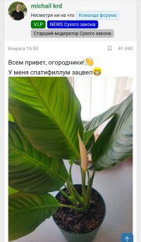 Screenshot_20250223-112656.jpg Screenshot_20250223-112656.jpg