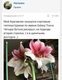 Screenshot_20250219-064841.jpg Screenshot_20250219-064841.jpg