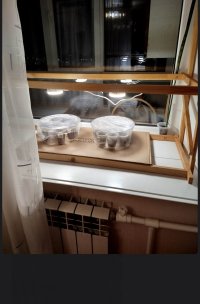 Screenshot_20250219-221011.jpg Screenshot_20250219-221011.jpg