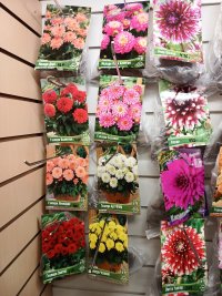 IMG_20250218_102756_895.jpg IMG_20250218_102756_895.jpg