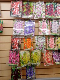 IMG_20250218_102504_812.jpg IMG_20250218_102504_812.jpg