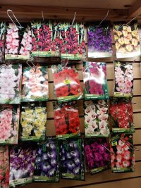 IMG_20250218_102514_095.jpg IMG_20250218_102514_095.jpg