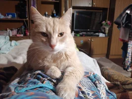 IMG_20241009_202750.webp IMG_20241009_202750.webp